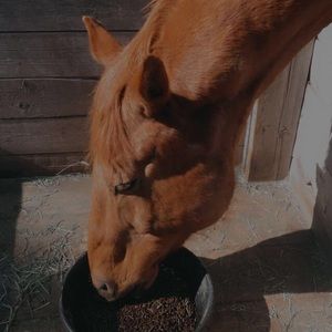 Meet your Posher, Jayden